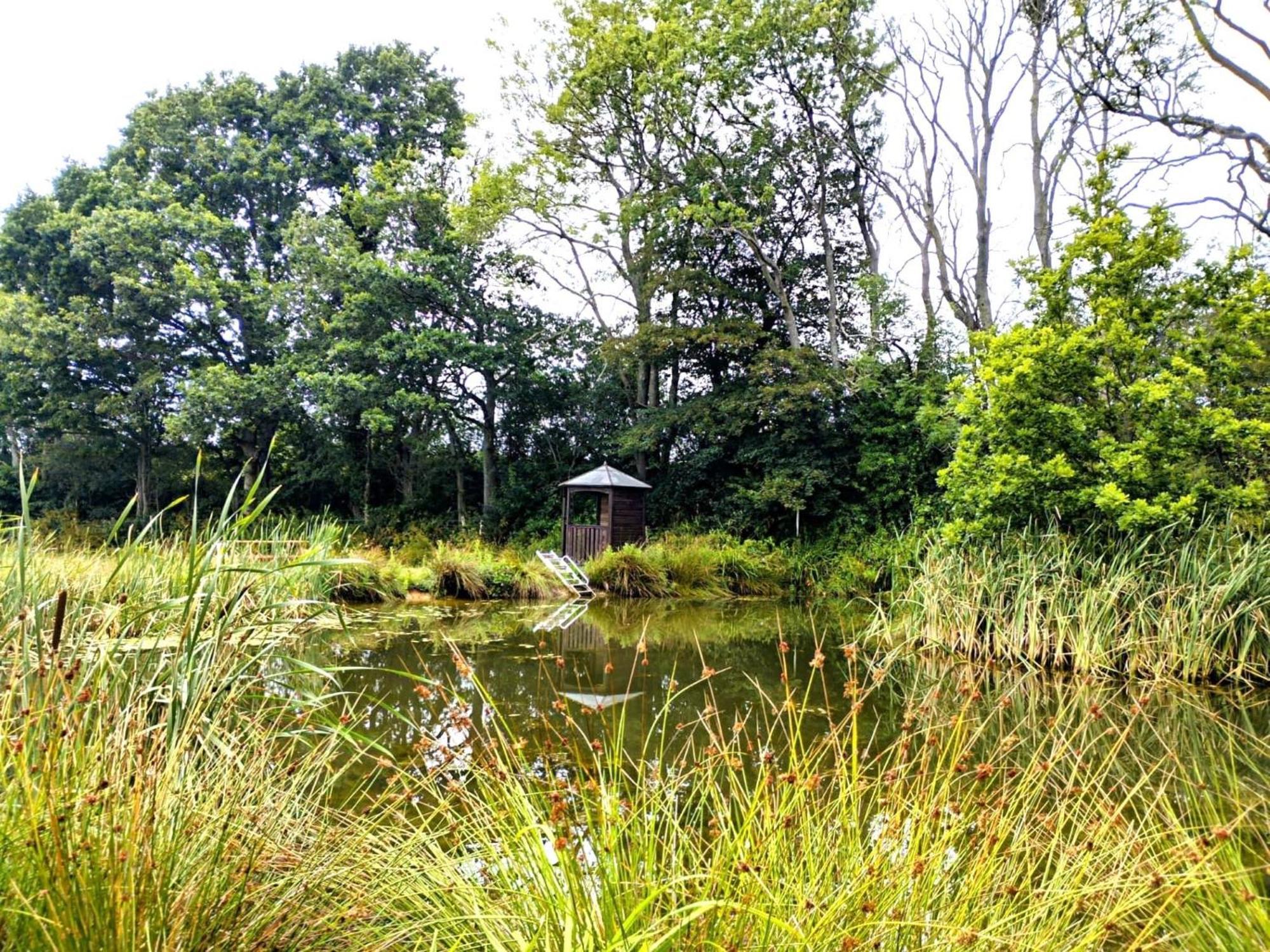 Snug & Secluded Lakeside Shepherds Hut 'Carp' อัคฟิลด์ ภายนอก รูปภาพ