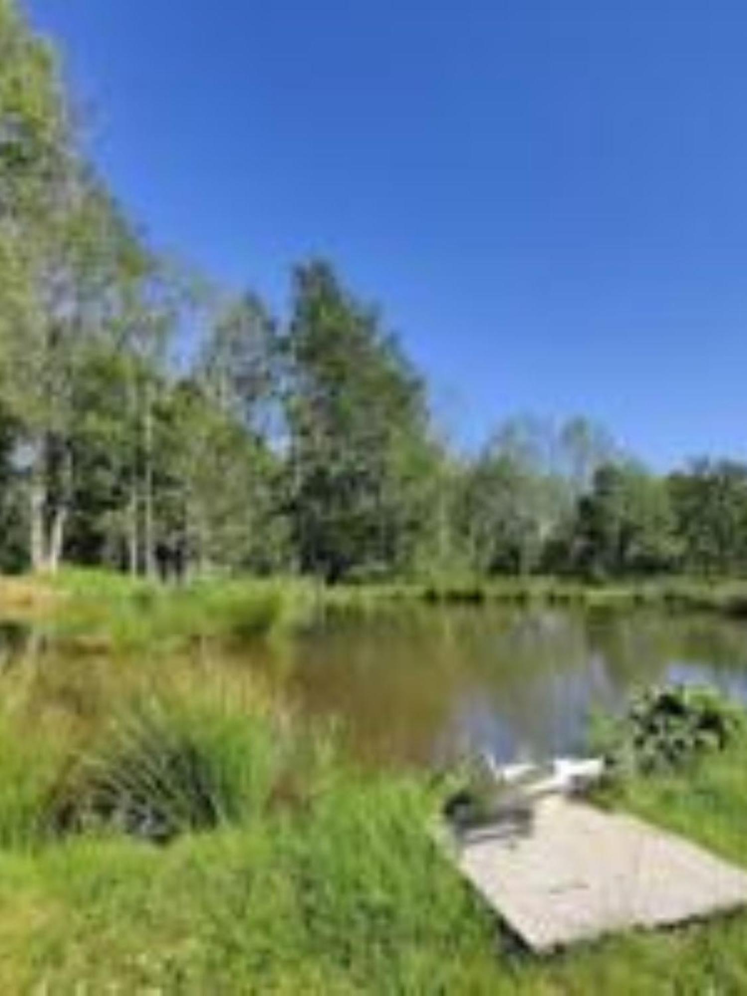 Snug & Secluded Lakeside Shepherds Hut 'Carp' อัคฟิลด์ ภายนอก รูปภาพ